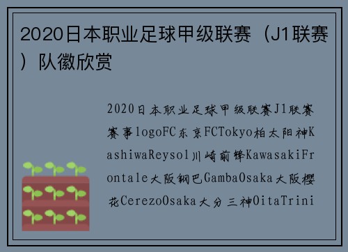 2020日本职业足球甲级联赛（J1联赛）队徽欣赏